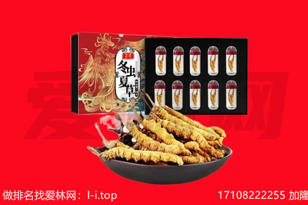 徐州贾汪区回收虫草.jpg